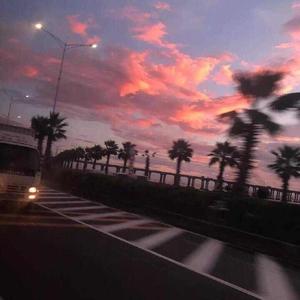 男女动漫做爱黄网站
