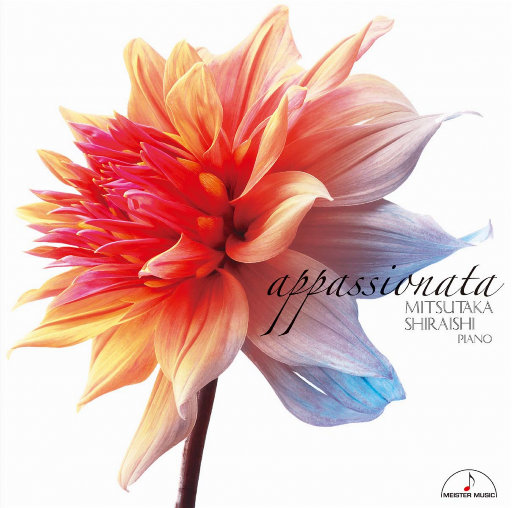 男女动漫做爱黄网站
